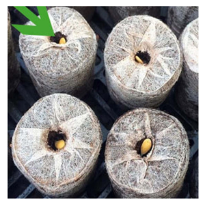 Noix de coco tourbe Pellet Excellence: Coir Jiffy du Vietnam pour facile, culture de plantes naturelles et le succès agricole - Product Image 1