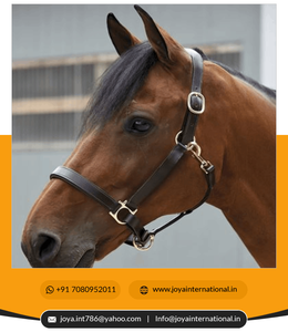 Vente directe d'usine indienne d'équipements équestres, licol pour chevaux, licol quotidien, licol pliable - Product Image 5