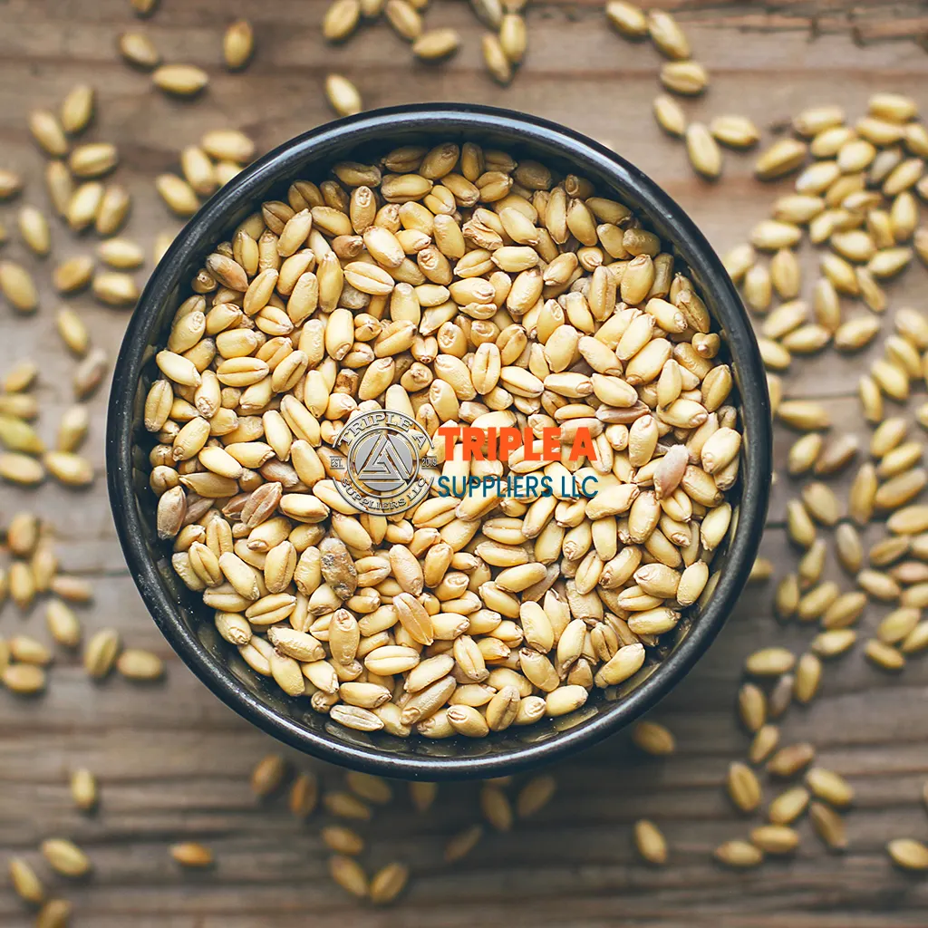 Wholesale Cheap Price Wheat Grain With Customized Packing / 100% High Quality Natural Wheat
