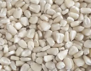 Maíz blanco seco asequible al por mayor de Tailandia de alta calidad directo de fábrica a la venta - Product Image 2