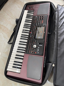 Producto Electrónico Korg PA1000 Profesional con Pantalla, Altavoces, Teclado, Arreglador Profesional de Calidad PA1000 - Product Image 4