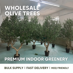 Cây ô liu nhân tạo bonsai trang trí trong nhà, cao 1,2m-4m, trồng chậu, kiểu dáng thân cây tự nhiên, xanh tươi - Product Image 2