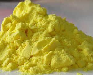 Meilleures ventes d'amidon de curcuma biologique naturel de fournisseur au Vietnam Top amidon pour les cosmétiques et la santé à bas prix - Product Image 3