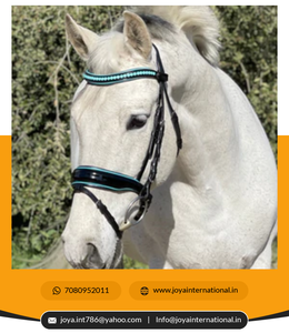 Vente en gros de haute qualité Brides de dressage de chevaux Bride légère noire brevetée Design pliable Prix d'usine pour Fidji - Product Image 6