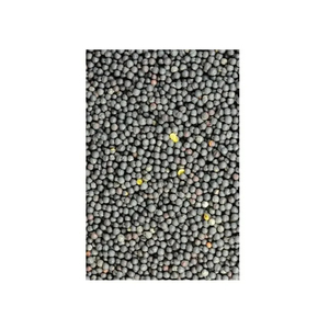 Graines de canola de qualité supérieure disponibles à la vente pour les acheteurs et les transformateurs internationaux - Product Image 3
