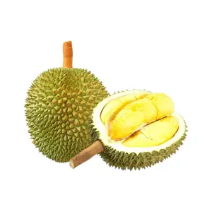 Frische Durian geliefert  Erhöhen Sie Ihr Geschäft mit Exportqualität