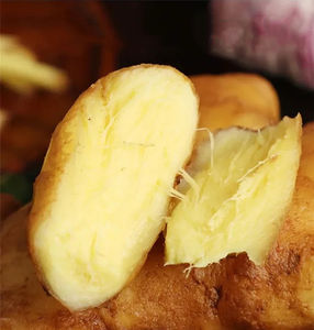 Nouvelle récolte de gingembre frais de haute qualité à bas prix pour l'exportation - Product Image 1