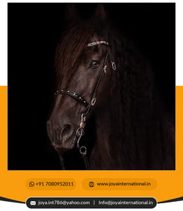 Bride pour cheval Vente à chaud Corde de cheval réglable Halter Durable Equestrian Riding Wear Bridle saisonnier - Product Image 5