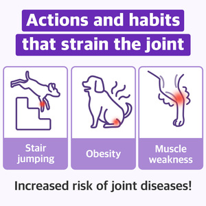 DR.BY Dog Health Patellar and Muscle Care 70 Chews Suplemento de cadera y articulaciones Nutrición Premium para mascotas para un cuidado óptimo de las articulaciones - Product Image 3