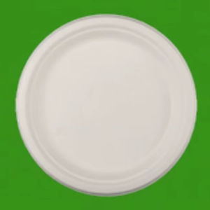 Assiettes jetables rondes en bagasse de 6 pouces, écologiques et de qualité supérieure, pour le camping - Product Image 1