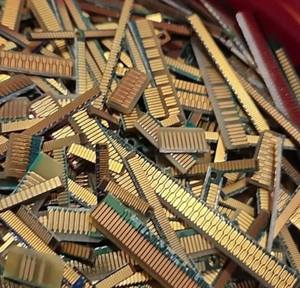 Dedos de cordero recortados de primera calidad, listos para exportación, suministro a granel - Product Image 4