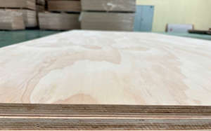 Contreplaqué de pin de première qualité écologique en gros, 1220x2440 mm, âme en caoutchouc, norme E0, pour coffrage, meubles, construction - Product Image 4