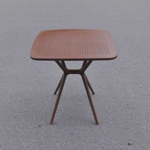 สีน้ำตาล