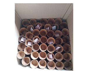 100% macetas biodegradables de coco de alta calidad a precio de fábrica - Product Image 1