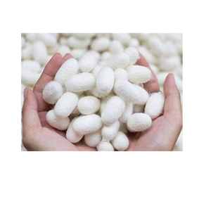 Capullos de seda cruda para uso facial Exfoliación suave para una piel suave y radiante - Product Image 4