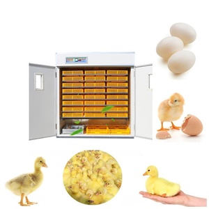 Incubateur automatique d'œufs de poulet, machine d'éclosion de volailles de grande capacité pour la ferme - Product Image 5