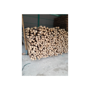Premium <b>Natural</b> Bamboo Poles <b>Tube</b> for Garden Support and Decoration Eco Friendly Material from Vietnam - Product Image 3