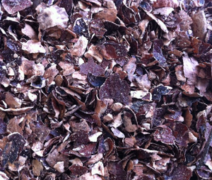 Cáscara de Anacardo Natural, Materia Prima Rica en Fibra - Product Image 2