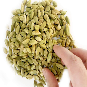 Cosecha Fresca de Semillas Orgánicas de Cardamomo Verde de Guatemala Calidad Premium En Stock Entrega Rápida Opción Mayorista - Product Image 1