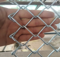 Clôture de confidentialité en mailles de chaîne de 50 mm certifiée CE, filet de sécurité