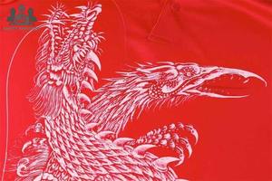 Uniforme de football avec logo personnalisé |   Tissu respirant 100% polyester |   Uniforme d'équipe court |   Vêtements de sport légers |   Commandes en gros - Product Image 3