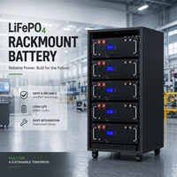 Baterai Lithium Rak Server 10.24kWh 51.2V 200Ah untuk Inverter Surya, Penyimpanan Baterai Rumah, dan Cadangan Daya Off Grid