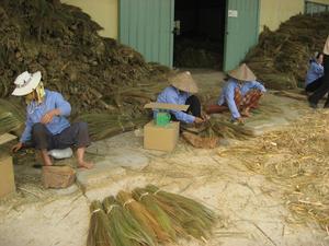 High Quality Vietnam Handicraft <b>Wooden</b> Stick <b>Broom</b> Big Garden <b>Broom</b> <b>with</b> Long <b>Handle</b> and Soft Bristles Home Cleaning Dustpan - Product Image 6
