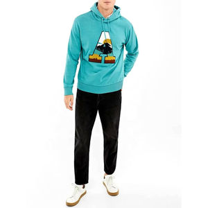 100% coton Logo personnalisé hommes sweats à capuche de haute qualité sweats surdimensionnés poids lourd prix usine à capuche - Product Image 2