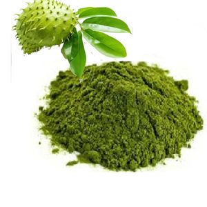 POLVO DE HOJA DE SOURSOP DE ALTA CALIDAD PARA PRODUCTOS DE SALUD NATURAL - Product Image 4