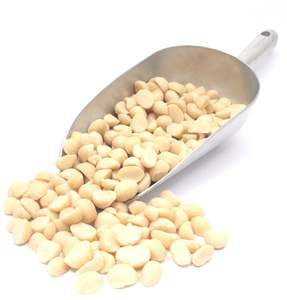 Nueces de Macadamia secas frescas de cosecha natural disponibles para compradores a granel que ofrecen deliciosas nueces de Macadamia de calidad superior - Product Image 2