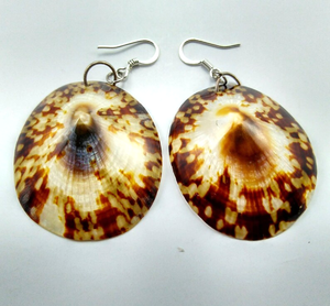 Conchas de Lapa vietnamita, cuentas de conchas de mar, conchas para pendientes o colgantes - Product Image 5