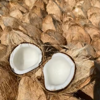 Biologische Droge Kokosnoten Van De Vietnamese Leverancier, Halfgepelde Zoete Geproefde Bulk Verpakt Voor Export Met Een Lage Moq