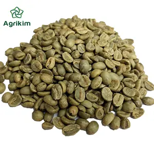 coffee beans green coffee whole beans cheap coffee beans with full certificates from prestigious vietnam supplier +84 363565928