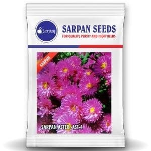 Semillas de Asteroide Híbrido SARPAN AST-4, 10 g, Color Rosa, Colección de Flores de Asteroide Híbrido Diverso - Product Image 1