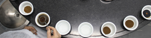 Café Instantáneo Soluble Premium de Sabor Neutro con Notas de Chocolate y Crema, Conilon (Robusta) / Arábica de Minas Gerais, Brasil - Product Image 2