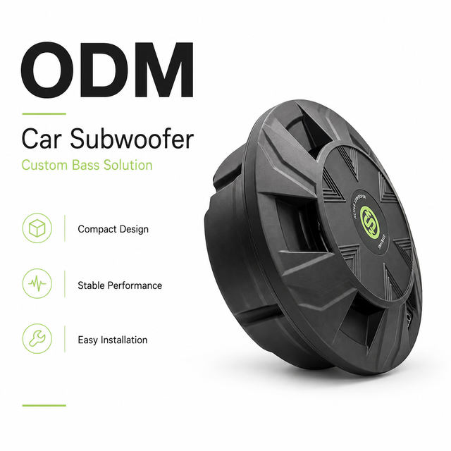 ODM Sennuopu Sub Woofer Amplifier Car Audio 10 Inch 500w Car Audio Subwoofer