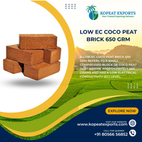 Coco Peat 650 Grammes Stérilisé Premium Coconut Coir Block Support de culture pour plantes Jardin et pépinière Utilisation Emballage de vente au détail
