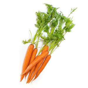 Fournisseur en gros de légumes frais de qualité naturelle Carottes Quantité en vrac prête pour l'exportation en stock Meilleur prix - Product Image 5