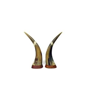 Par de bocina de búhos, bocina de vaca de la mejor calidad, artesanía natural, diseño moderno, par de bocina al mejor precio, diferentes tamaños - Product Image 6