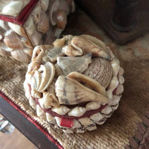 Caja Decorativa para Joyas, Anillos, Regalos o Recuerdos, con Conchas Marinas Naturales, Forma Redonda - Product Image 5