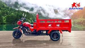 Triciclo barato trimoto carga triciclo adulto fabricante WAW valor competitivo - Product Image 3