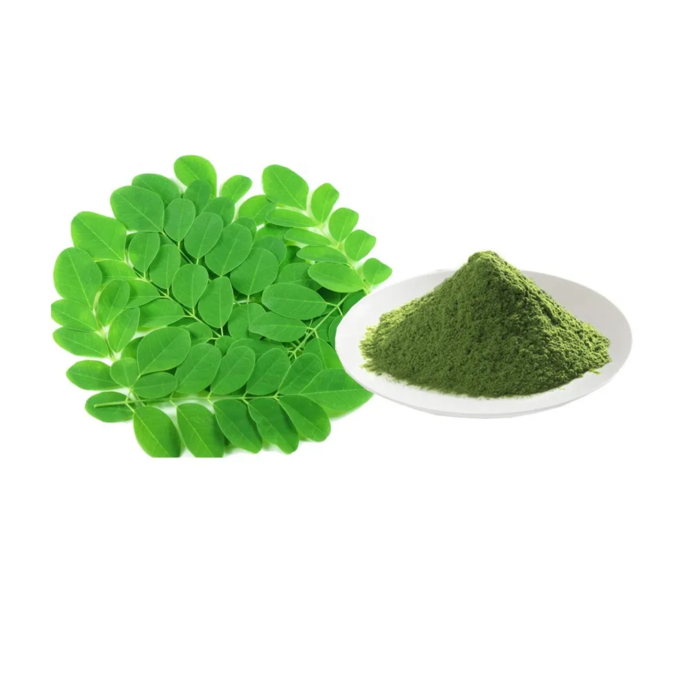 100% Moringa Leaf Extract Power 2024 Natural Moringa Leaf Extract Powder Customized Pecking Good For Health Moringa Powder