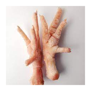 Pieds de poulet en gros fabricant de haut nouveau meilleur matériel avec des tarifs bon marché - Product Image 3