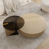Table basse moderne italienne multicolore en bois brun bronze et or avec rangement pour salon