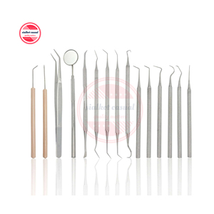 <b>Dental</b> Surgical Probes & Scalers Set Instruments | <b>Dental</b> Medical Tooth Care Orthodontic Surgical Kit Custom Logo - Product Image 1