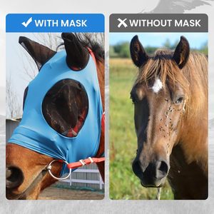 Máscara Antimoscas Ajustable y Transpirable para Caballos con Protección de Rejilla para las Orejas de Fácil Uso para Montar a Caballo - Product Image 5