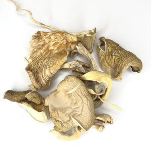 NOUVELLES CHAMPIGNONS DE HARICOT SÉCHÉS À L'AIR POUR LA CUISSON ET LA MÉDECINE, PROVENANT DE CHAMPIGNONS 100% PROPRE - Product Image 4