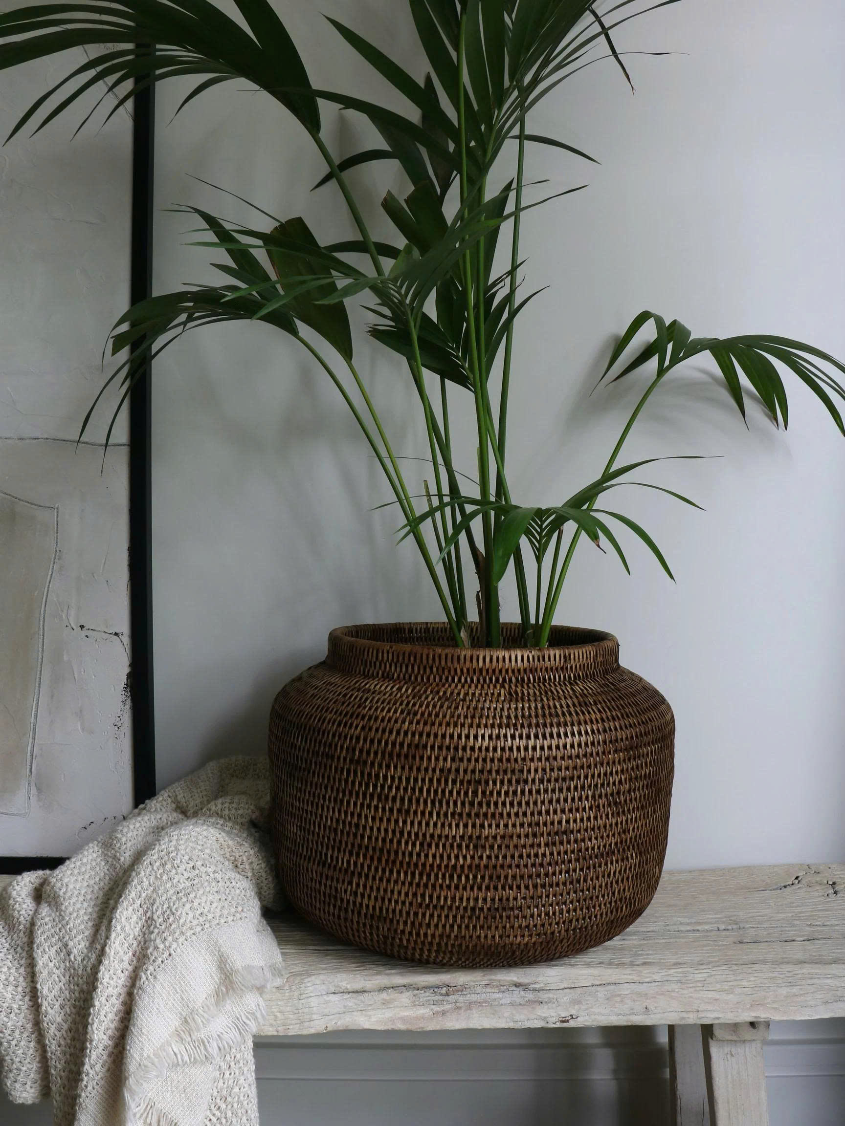 สีน้ำตาล