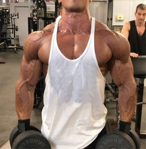 Camisetas sin Mangas Deportivas para Hombre, Estilo Gimnasio, Fitness, Culturismo, para Correr, Espalda en Y, Transpirables, de Algodón Fresco para Verano - Product Image 1