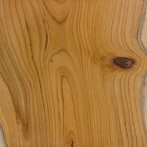 Madera de calidad superior de Asia para arquitectos carpinteros que ofrecen entrega rápida a precios al por mayor y rendimiento duradero - Product Image 2